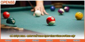 Cá Cược Bida - Môn Thể Thao Kịch Tính Từng Đường Gậy
