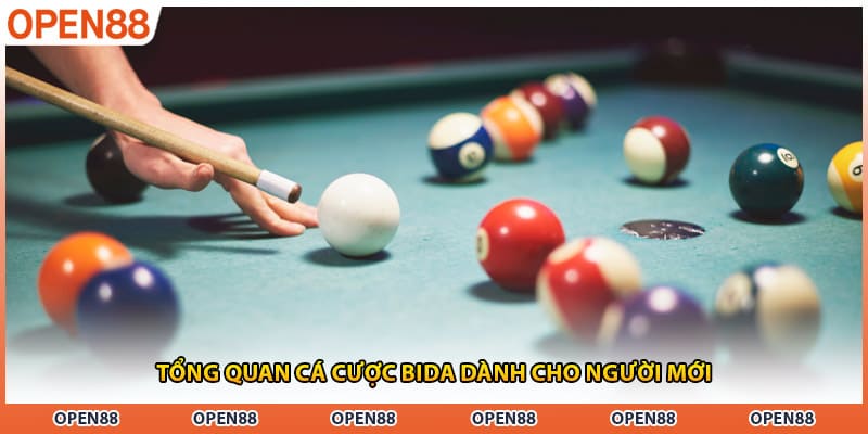 Tổng quan cá cược bida dành cho người mới